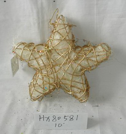 HX80581